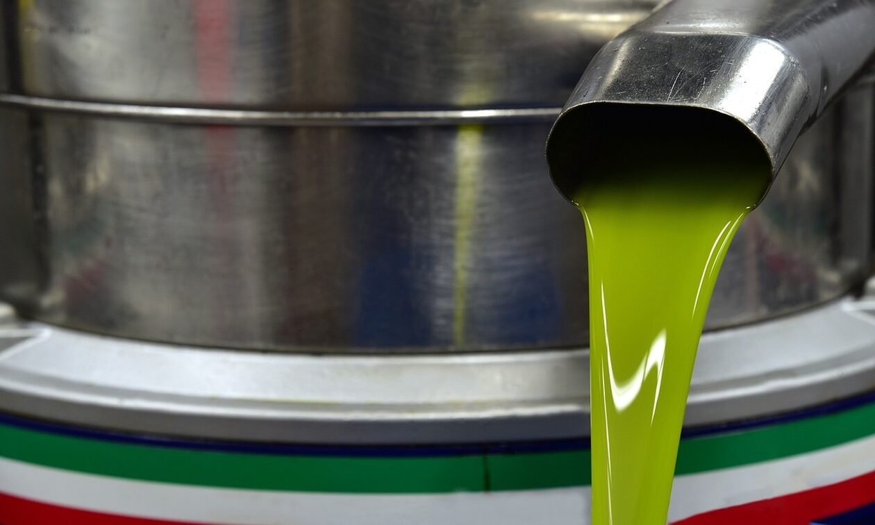 Ελαιόλαδο όπως… χρυσός! Μεταμεσονύκτιες περιπολίες σε ελαιώνες και σεκιούριτι στα ελαιοτριβεία