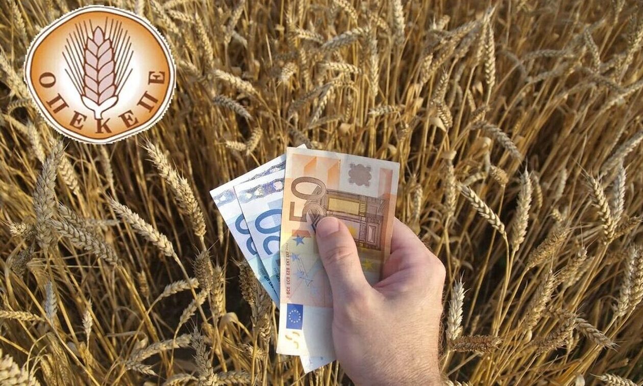 ΟΠΕΚΕΠΕ: Στους λογαριασμούς η Βασική Ενίσχυση ύψους 488 εκατ. ευρώ σε 538.768  δικαιούχους