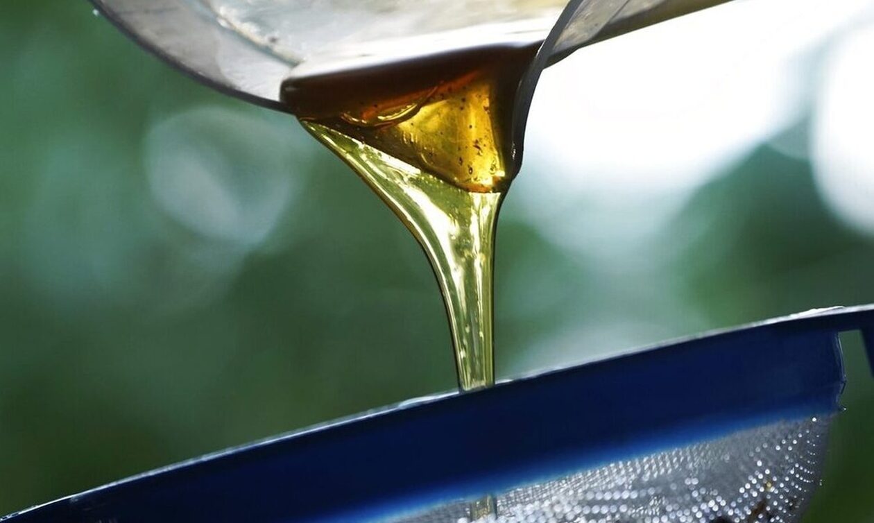 Μειωμένη η φετινή παραγωγή μελιού στη Δυτική Μακεδονία