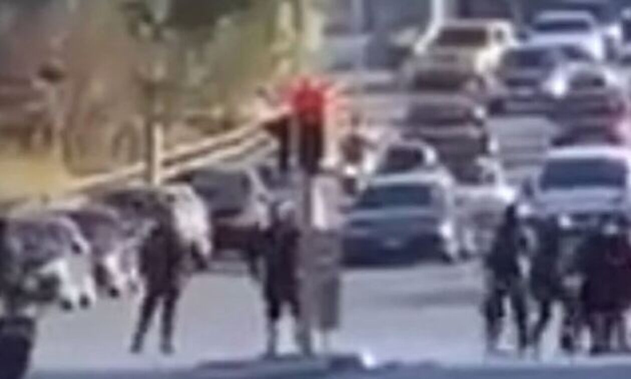 Θεσσαλονίκη: Βίντεο ντοκουμέντο από την οπαδική συμπλοκή – Νέες συλλήψεις και ταυτοποίηση