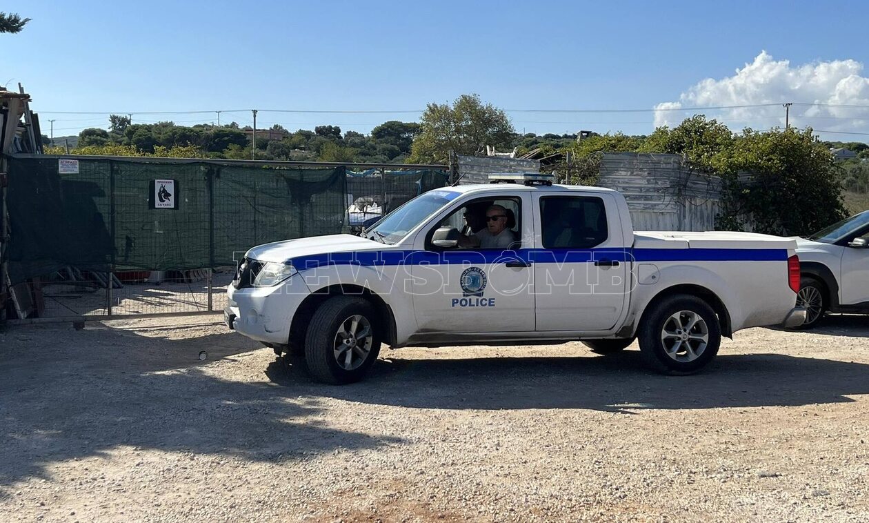 Αρτέμιδα – Πατέρας 11χρονου: «Το παιδί μου ήταν μέσα στα αίματα, τον δάγκωσε παντού το πιτ μπουλ»