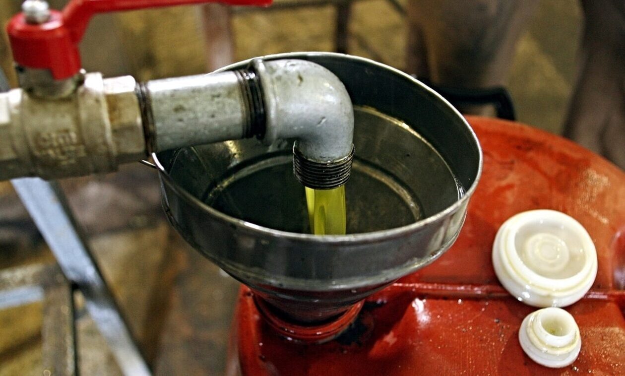 Ελαιόλαδο: Φοβούνται οι ελαιοπαραγωγοί– Με σεκιούριτι και περιπολίες προστατεύουν την περιουσία τους