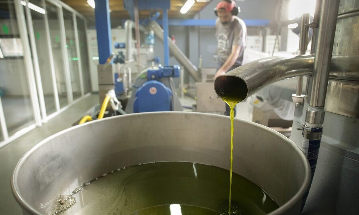 Ελαιόλαδο: Πιάνει «ταβάνι» η τιμή του – Η μειωμένη παραγωγή και τα σενάρια για το κόστος του τενεκέ