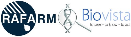 Συνεργασία RAFARM και Βiovista  για την ανάπτυξη Νέων Φαρμάκων στην Οφθαλμολογία  με την αξιοποίηση της Τεχνητής Νοημοσύνης