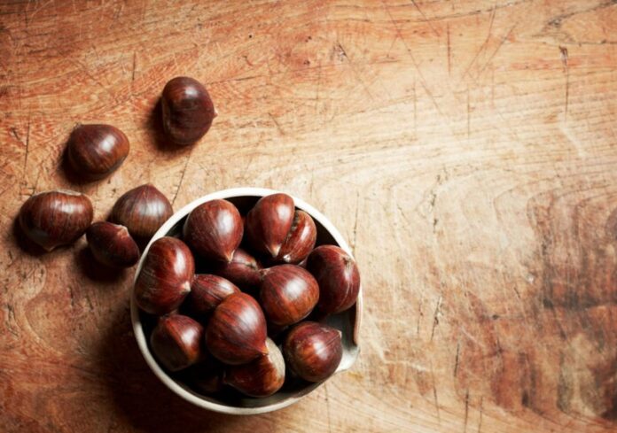 kastana-e1571721444839-1024x719.jpg