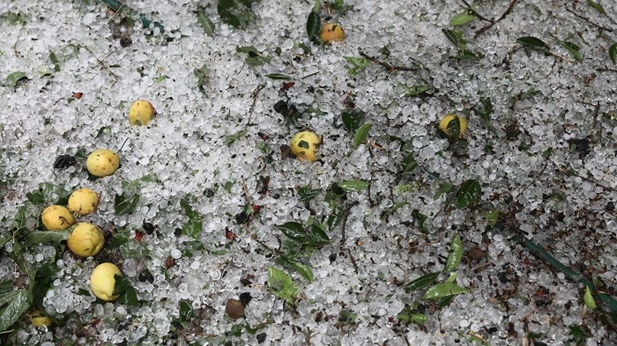Καιρός: Χαλάζι με ζημιές σε καλλιέργειες της Θεσπρωτίας – Κατολισθήσεις σε επαρχιακούς δρόμους