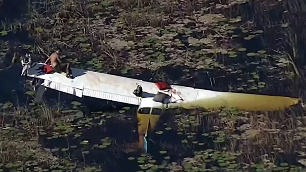 Πιλότος περίμενε 9 ώρες πάνω στο φτερό αεροπλάνου – Γύρω του κολυμπούσαν ανθρωποφάγοι κροκόδειλοι