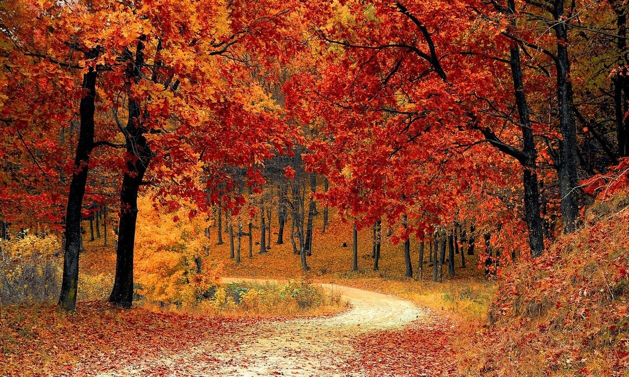 Φλώρινα: Περιπέτεια με αίσιο τέλος για δύο νεαρούς – Χάθηκαν στο δάσος