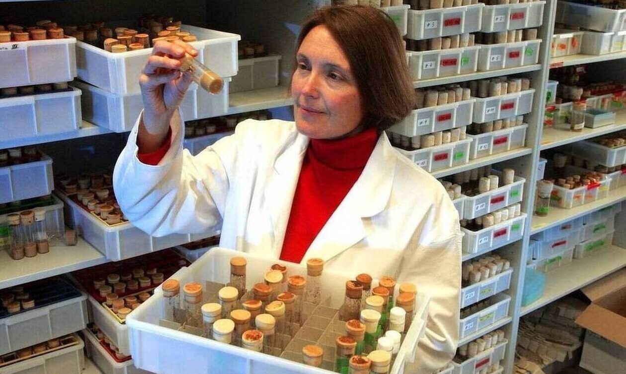 Αναβιώνει στο Εφετείο η φρικτή δολοφονία της Σούζαν Ίτον