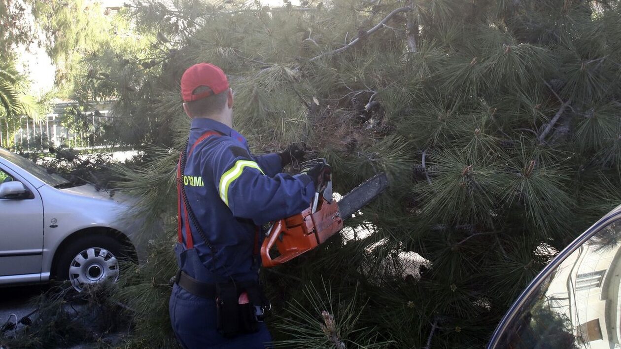 Ισχυροί άνεμοι «σάρωσαν» την Εύβοια: Πτώσεις δέντρων, κλειστοί δρόμοι και χωριά χωρίς ρεύμα