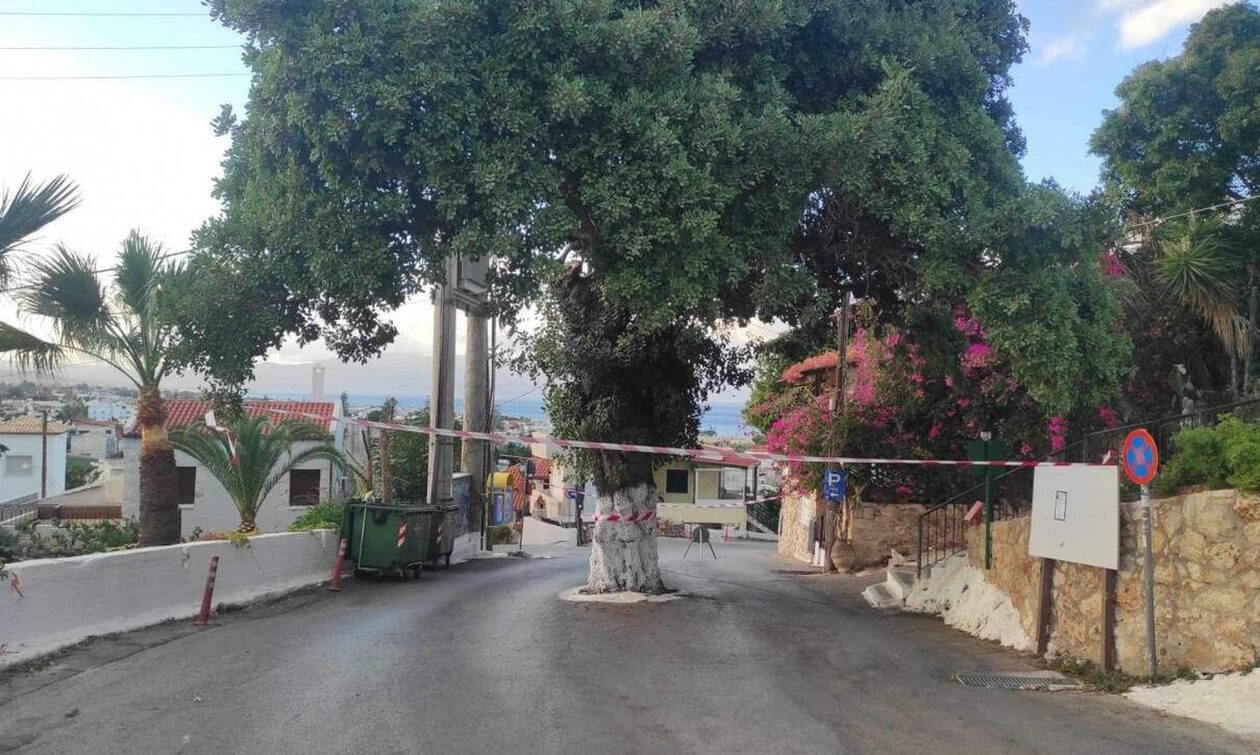 Κρήτη: Απαγόρευση κυκλοφορίας λόγω… χαρουπιάς