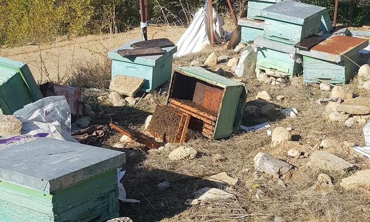 Αρκούδα προκάλεσε ζημιές σε κυψέλες σε περιοχή της Νέας Ζίχνης Σερρών