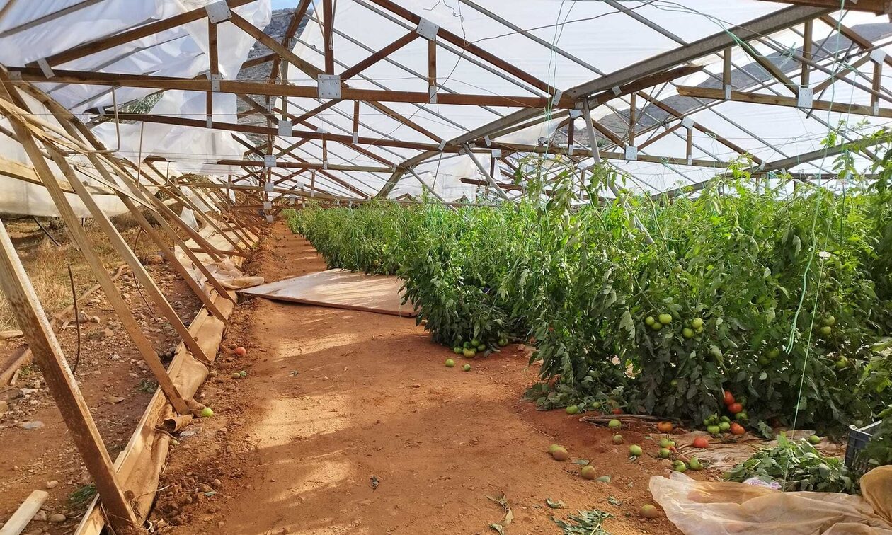 Ανεμοστρόβιλος «χτύπησε» τα Φαλάσαρνα: Τρομερές καταστροφές σε θερμοκήπια, ελιές και καταστήματα