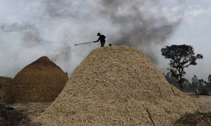 1496113-india-sugar.jpg