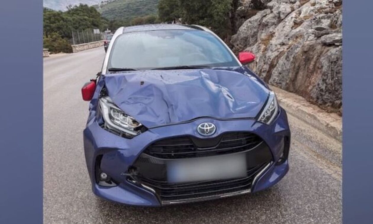 Παγίδες θανάτου οι ελληνικοί δρόμοι από τα ζώα – Μαρτυρίες από οδηγούς που σώθηκαν από τρακαρίσματα