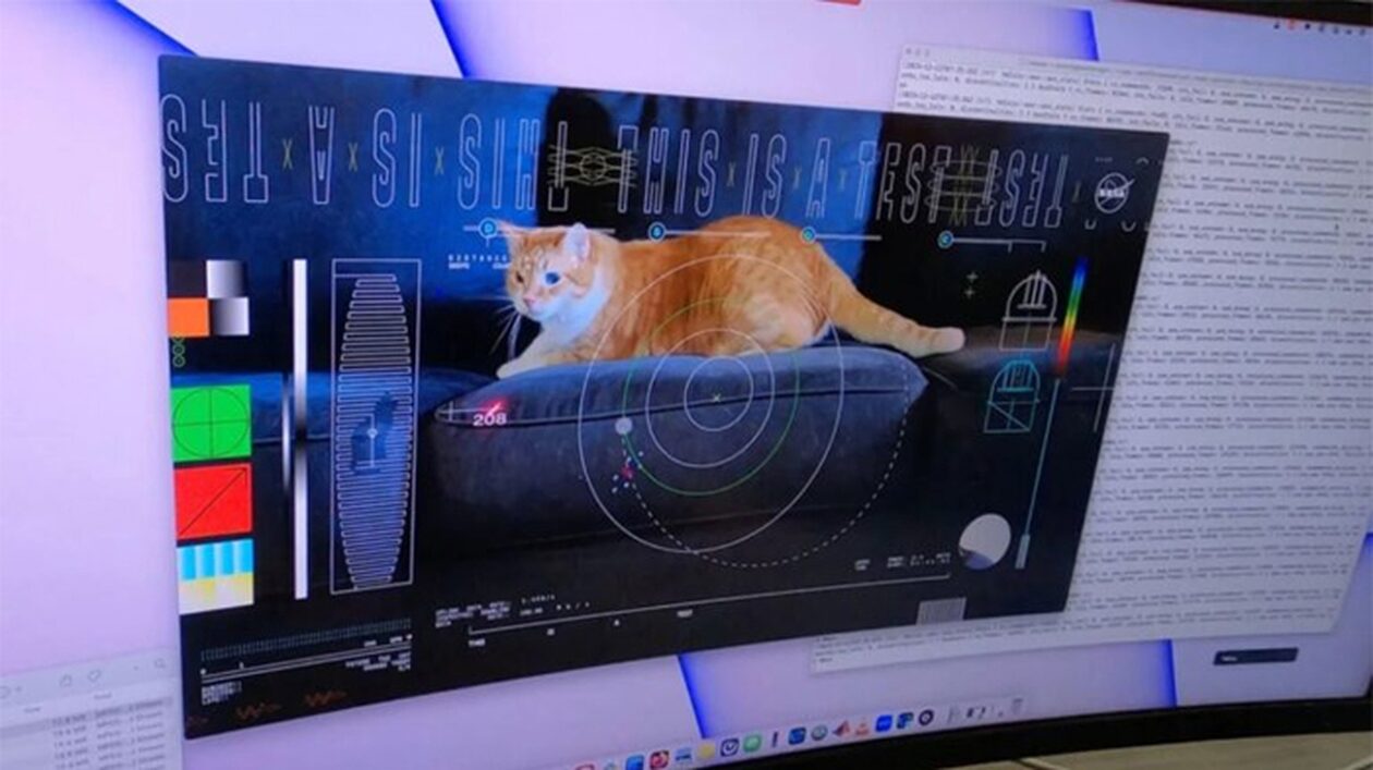 NASA: Μετέδωσε με λέιζερ βίντεο της… γάτας Taters από απόσταση 30 εκατομμυρίων χιλιομέτρων