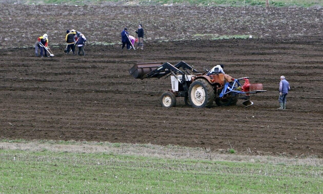 ΟΠΕΚΕΠΕ: Από το μεσημέρι η πίστωση χρημάτων για Βασική Ενίσχυση, Αναδιανεμητική και Νέους Γεωργούς