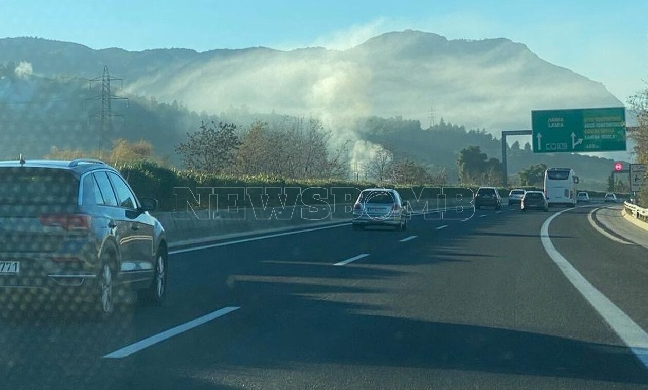 Πυρκαγιά σε δάσος δίπλα στην Εθνική Οδό Αθηνών-Λαμίας