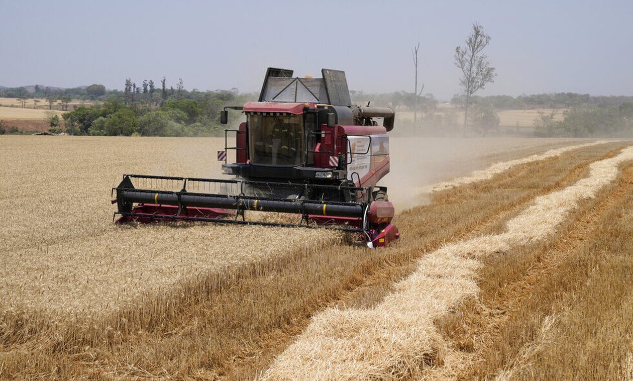 Reuters: Μειώνονται οι προμήθειες βασικών αγαθών το 2024 – To «Eλ Νίνιο» και τα μπλόκα στις εξαγωγές