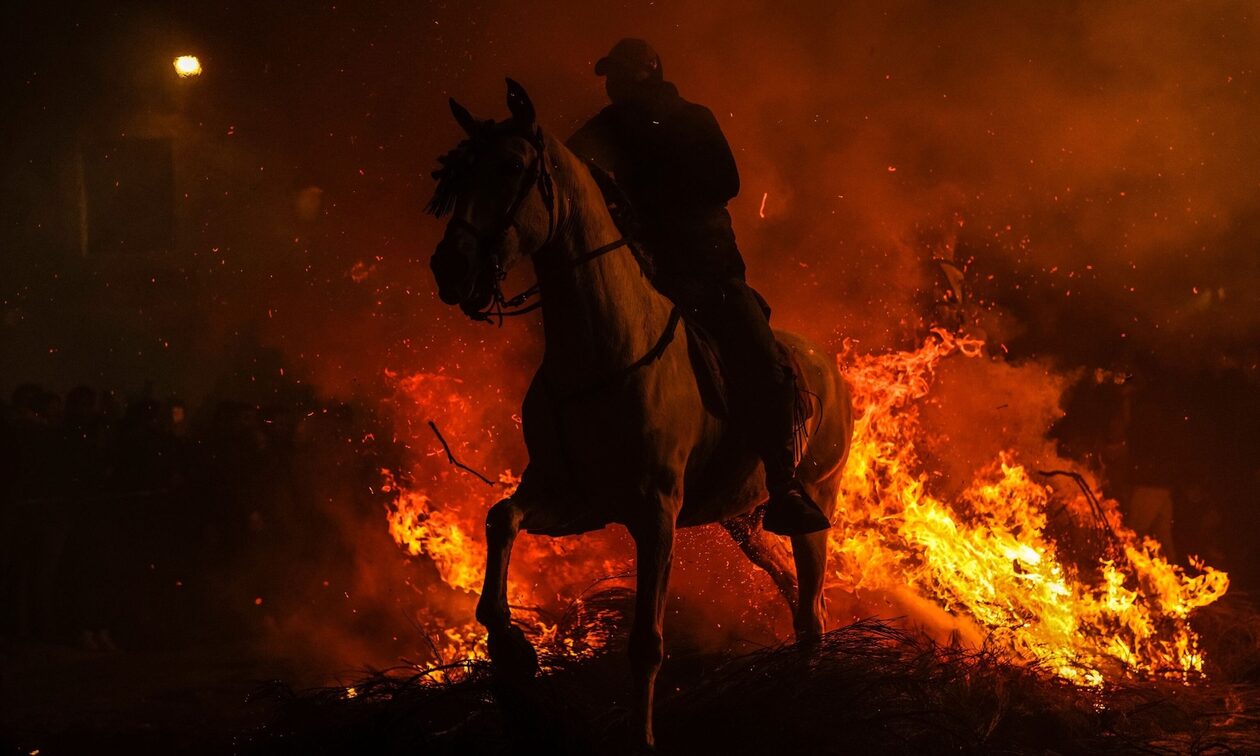 Ισπανία: Άλογα πηδούν στις φλόγες – Αναβίωσε το αμφιλεγόμενο έθιμο για τη γιορτή του Αγίου Αντωνίου