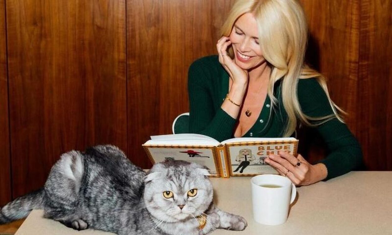 Κλόντια Σίφερ: Ο γάτος της «Τσιπ» κλέβει την παράσταση – Ινφλουένσερ, ηθοποιός και… σταρ με τουπέ