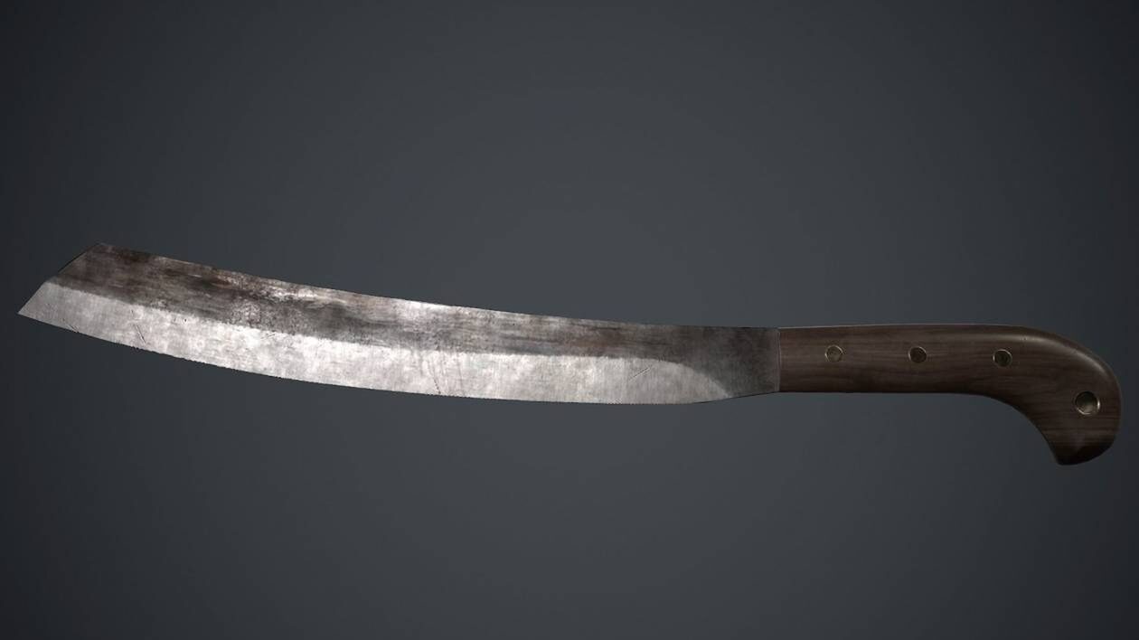 Βρετανία: Απαγορεύονται δια νόμου τα επικίνδυνα μαχαίρια τύπου ματσέτα και «ζόμπι»