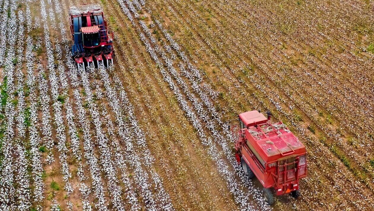 ΕΛΓΑ: Εξοφλούνται σε 3.436 παραγωγούς οι αποζημιώσεις του 2022