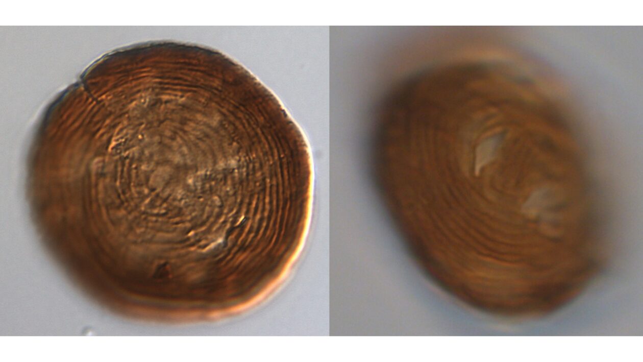 Αυτός είναι ο οργανισμός που βρίσκεται στη Γη εδώ και 450 εκατομμύρια χρόνια