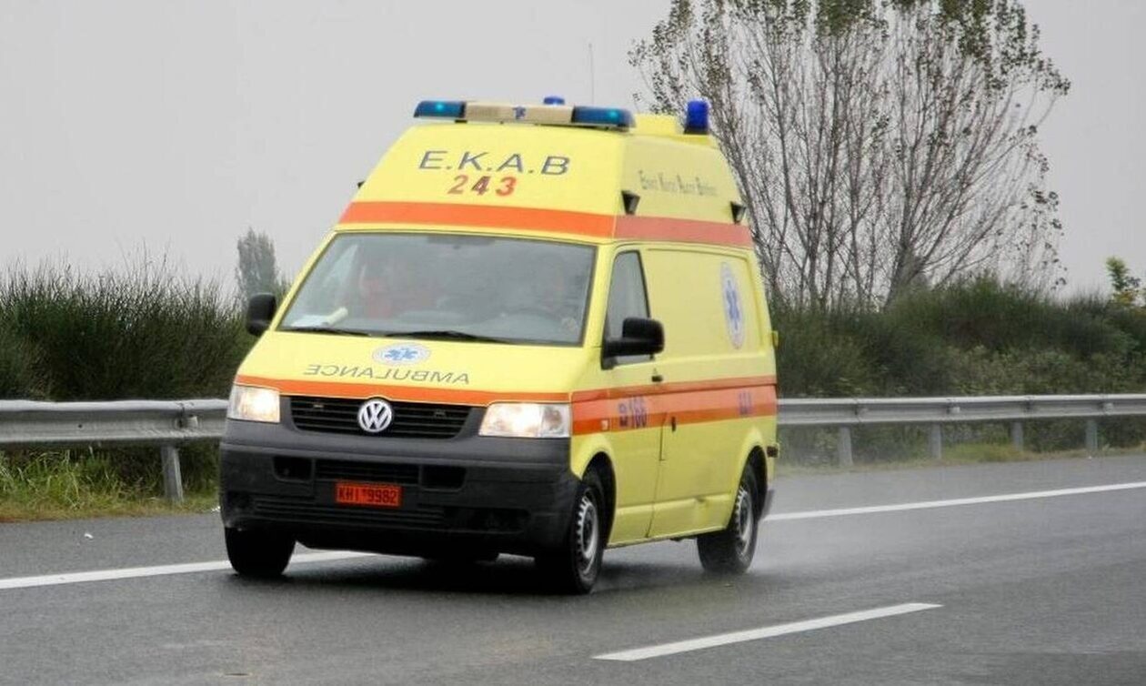Μεγάλη προσοχή: Μην αγγίξετε αυτό το φυτό – Κατέληξαν στο νοσοκομείο όσοι το ακούμπησαν