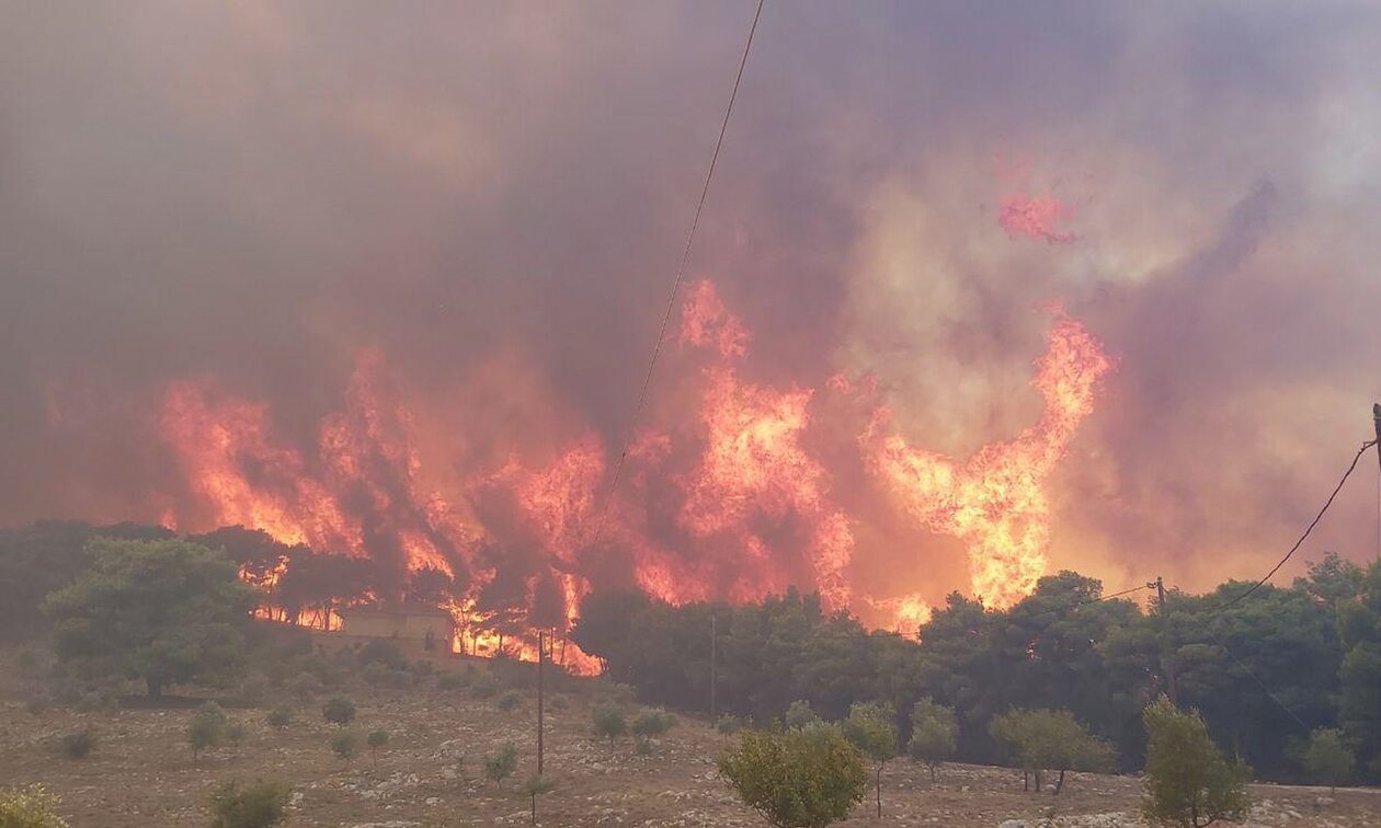 Φωτιά τώρα στη Ζάκυνθο: Eνισχύονται οι πυροσβεστικές δυνάμεις – Ισχυροί άνεμοι πνέουν στο σημείο