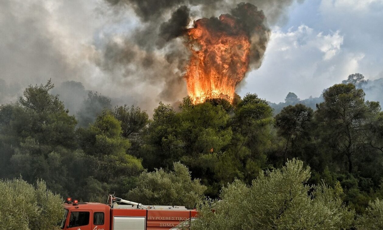 Ζάκυνθος: Υπό πλήρη έλεγχο η πυρκαγιά στην περιοχή Εξωχώρα – Κάηκαν πάνω από 100 στρέμματα