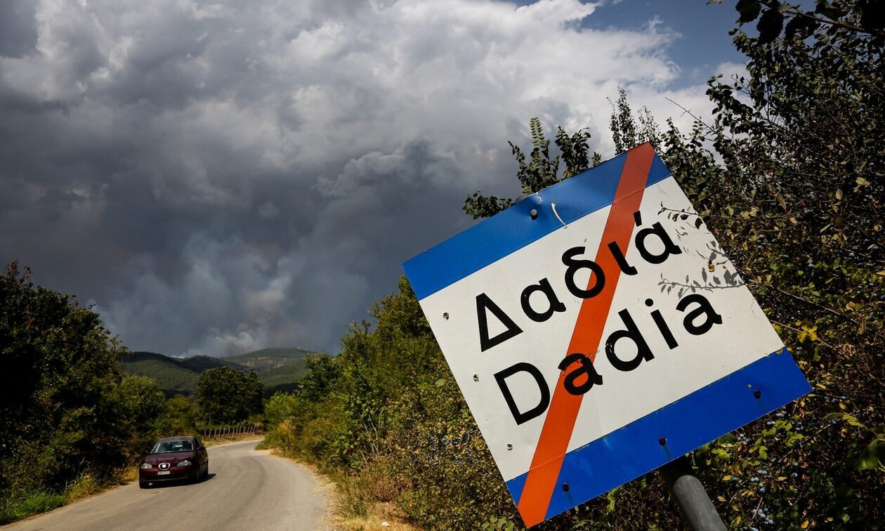 Διαμαρτύρονται οι φιλόζωοι: Επιτράπηκε τελικά το κυνήγι στο κατεστραμμένο δάσος της Δαδιάς