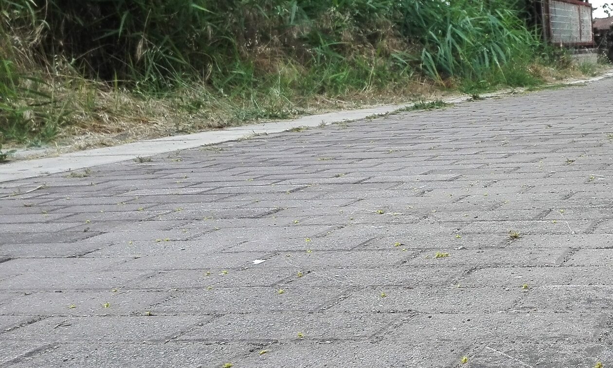 Θεσσαλονίκη: Έκλεψαν από αποθήκη… 30 πλάκες πεζοδρομίου και τις φόρτωσαν σε τρέιλερ