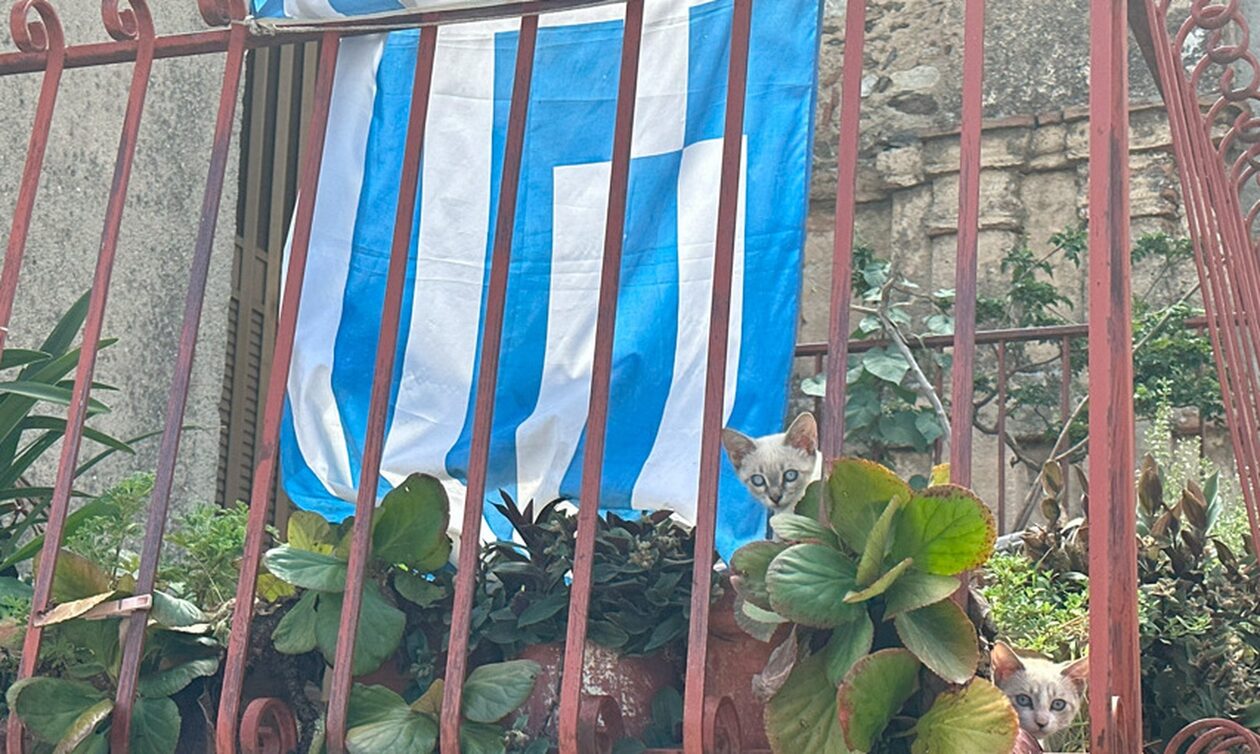 Παγκόσμια Ημέρα Μητρικής Γλώσσας: Ένα αφιέρωμα στη Μεγάλη Ελλάδα και τα ελληνόφωνα χωριά