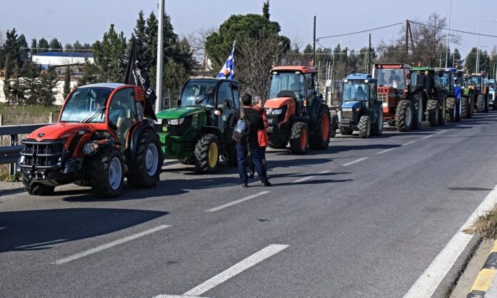 1524913-agrotes-larisa.jpg