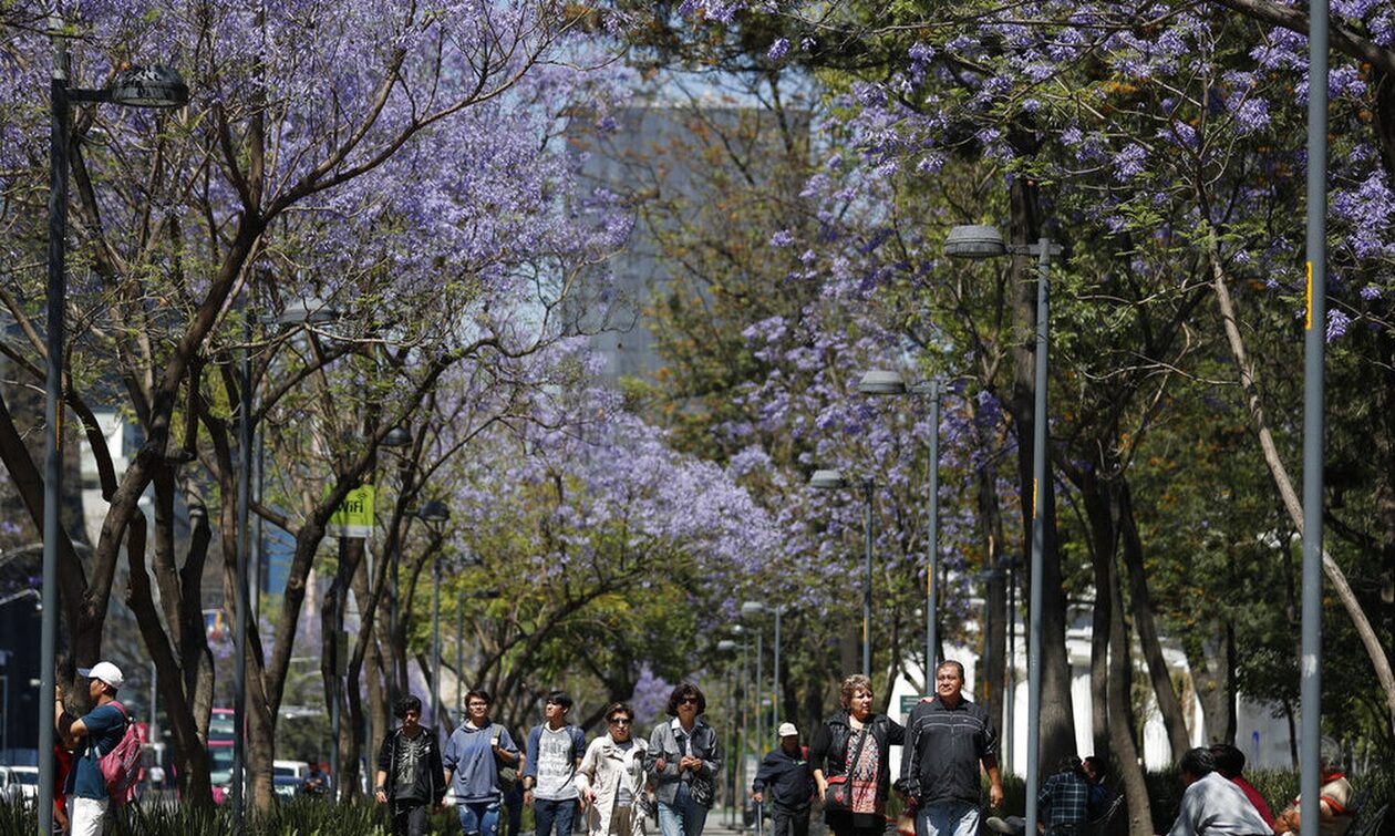 Συναγερμός για την κλιματική αλλαγή: Ο φετινός Φεβρουάριος, ο πιο ζεστός που έχει καταγραφεί ποτέ
