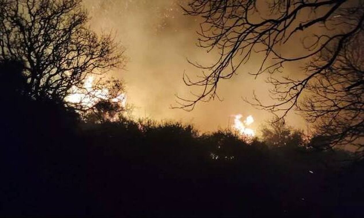 Χανιά: Ενώπιον του ανακριτή οι δύο κτηνοτρόφοι για τη μεγάλη φωτιά στην Κάνδανο