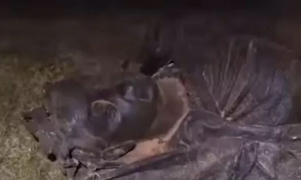 Αυστραλία: Αποκεφάλισαν άγαλμα της βασίλισσας Βικτώριας