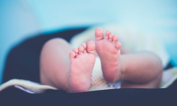 1531899-moro-unsplash2.jpg