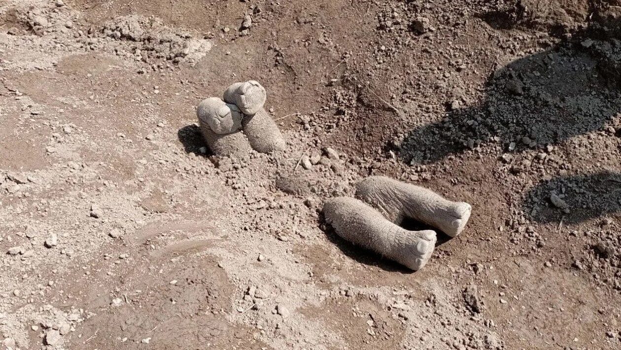 Ελέφαντες καταγράφονται για πρώτη φορά να θάβουν τα νεκρά μωρά τους