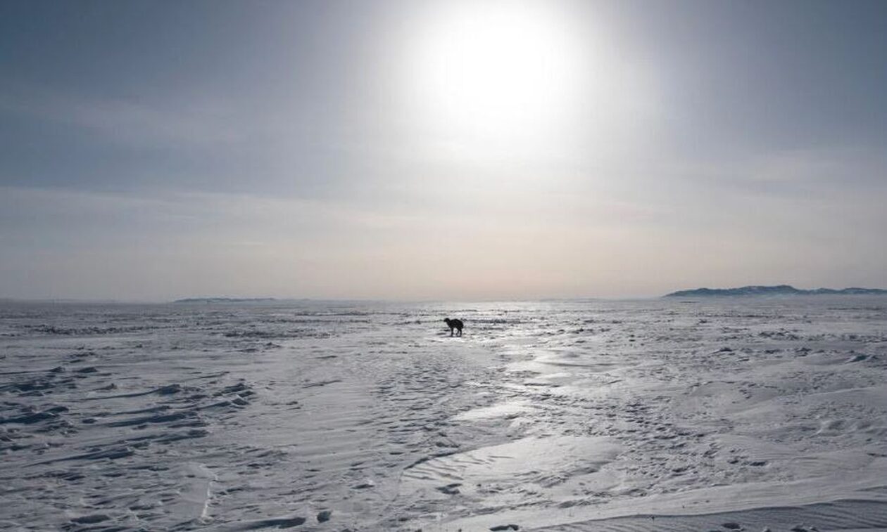 Η Μογγολία εκπέμπει SOS: 5 εκατ. ζώα νεκρά και βοσκοί σε απόγνωση – Πολικό ψύχος και καταστροφές