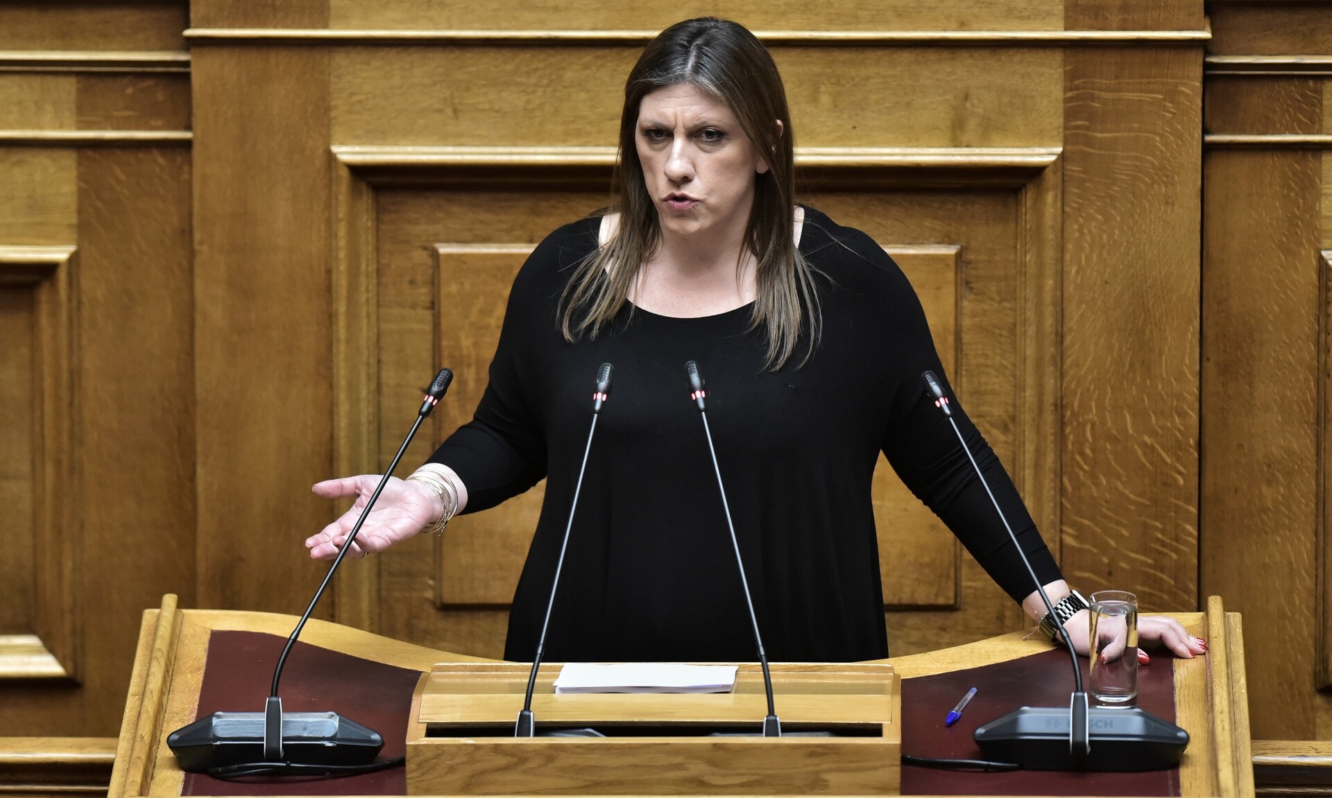 Πλεύση Ελευθερίας: Στηρίζουμε την πρόταση μομφής κατά της κυβέρνησης