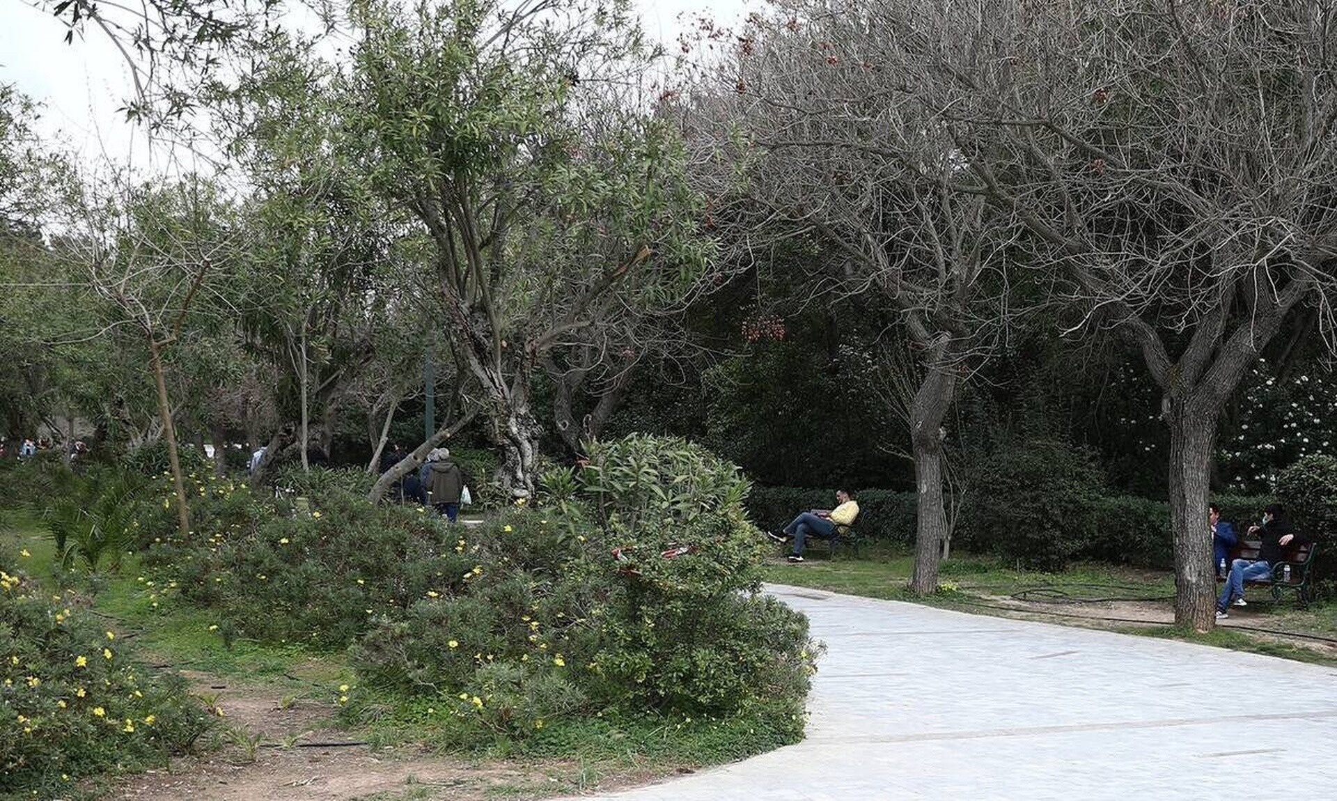 Πεδίον Άρεως: Τέλος στις ακαλαίσθητες εορταστικές εκδηλώσεις