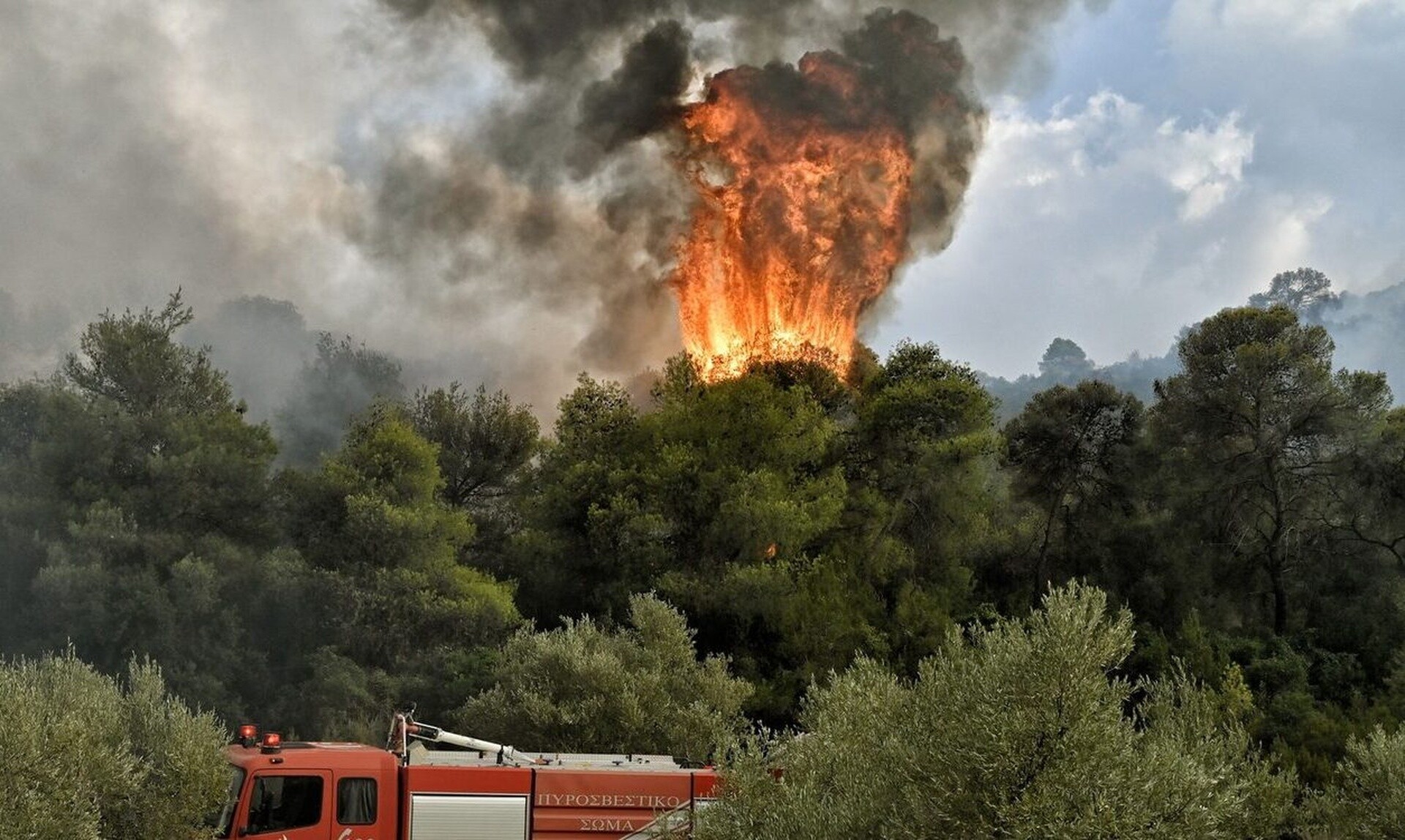 Σε εξέλιξη η φωτιά στη Λακωνία – Ενισχύονται οι πυροσβεστικές δυνάμεις
