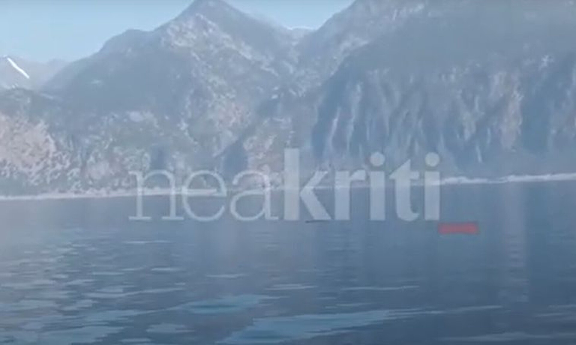 Φάλαινα φυσητήρας στα νότια της Κρήτης – Εντυπωσιακά βίντεο