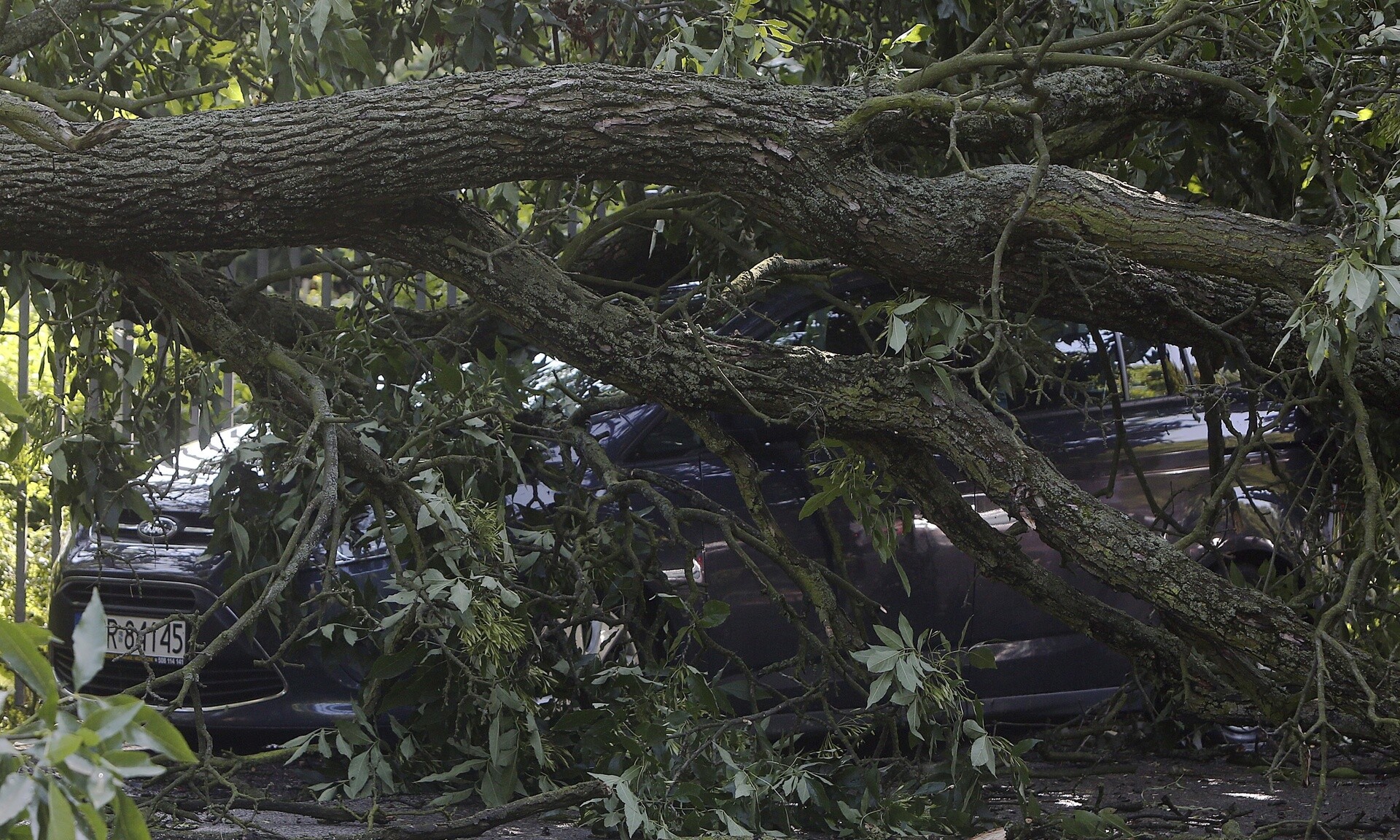 Πολωνία: Πέντε νεκροί από του ισχυρούς ανέμους – Ανάμεσά τους και παιδιά