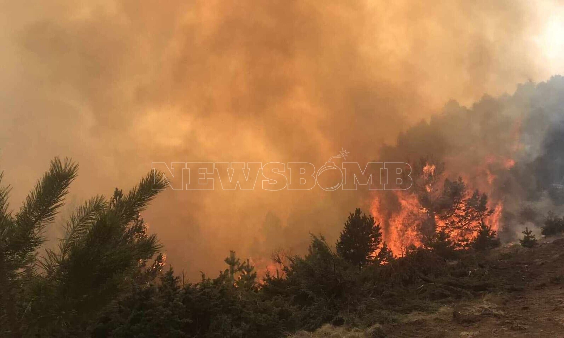 Πιέρια Όρη: Τραυματίστηκε εθελοντής πυροσβέστης κατά τη διάρκεια κατάσβεσης της μεγάλης φωτιάς
