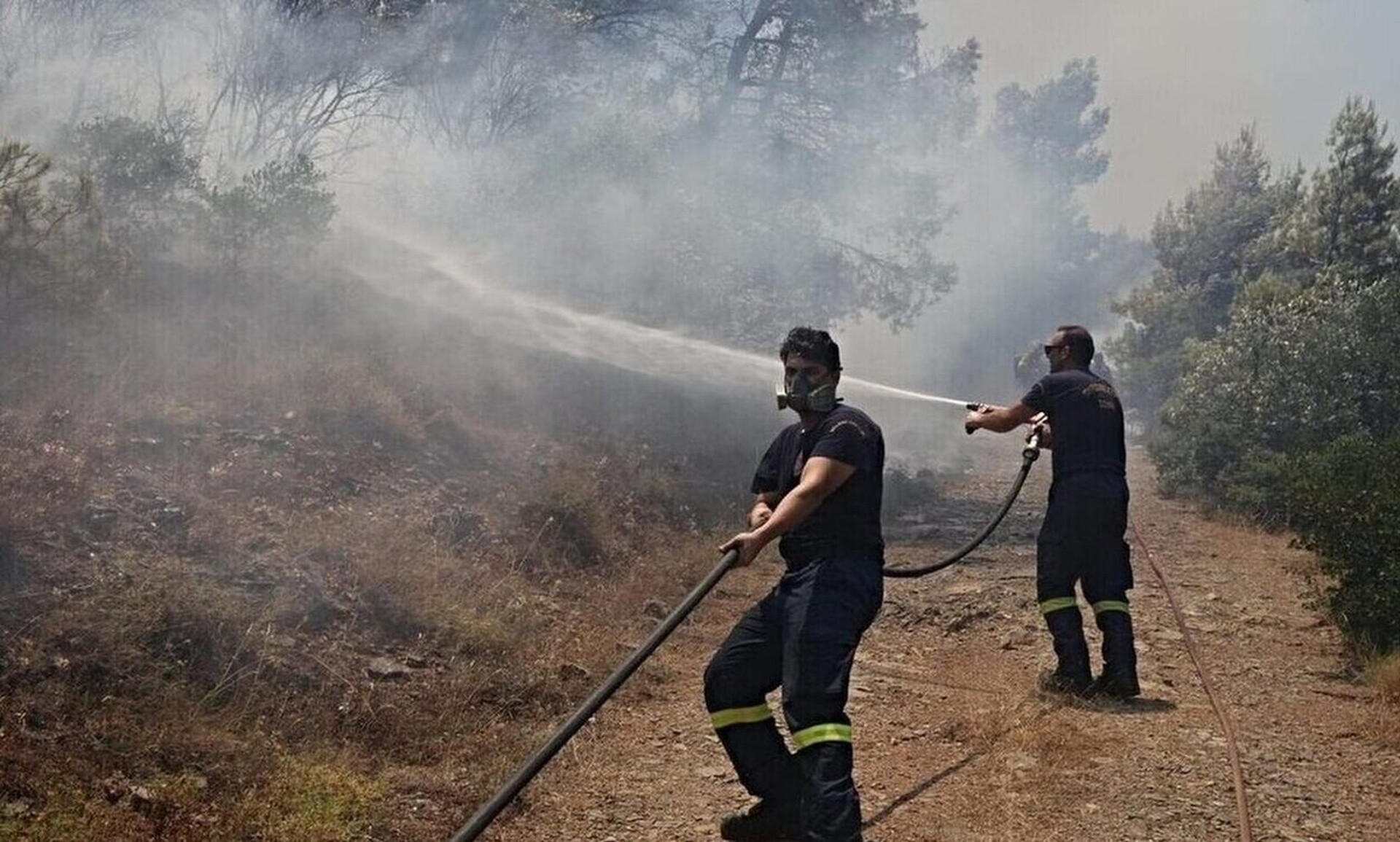 Φωτιά στο Μπολάτι Κορινθίας – Επί ποδός η Πυροσβεστική