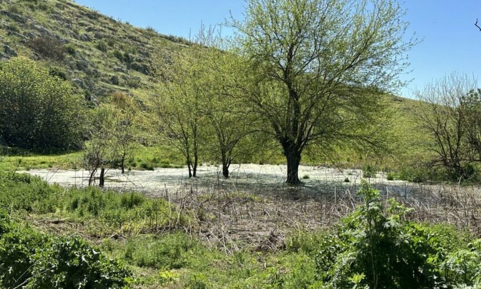 Φάρσαλα: Αναβλύζει νερό μετά από 44 χρόνια!