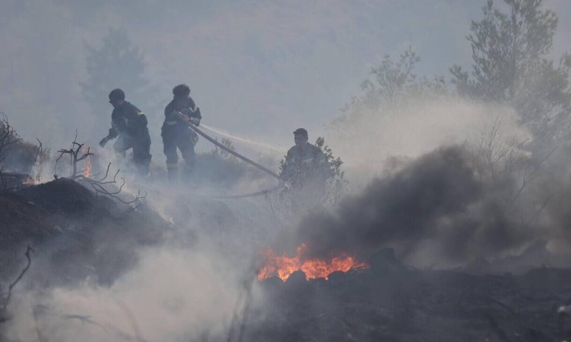 Πυρκαγιά στον Ερύμανθο Αχαΐας – Επιχειρεί ισχυρή πυροσβεστική δύναμη και αεροσκάφος